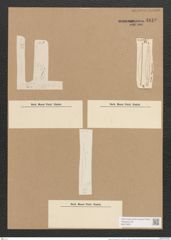 Hantzschia weyprechtii Grun. (de-Toni-Nr.: Genus 50, Species 2205) Zeichnungen Sammlung Grunow Nr. 4610 (NHMW-BOT-W0372651)